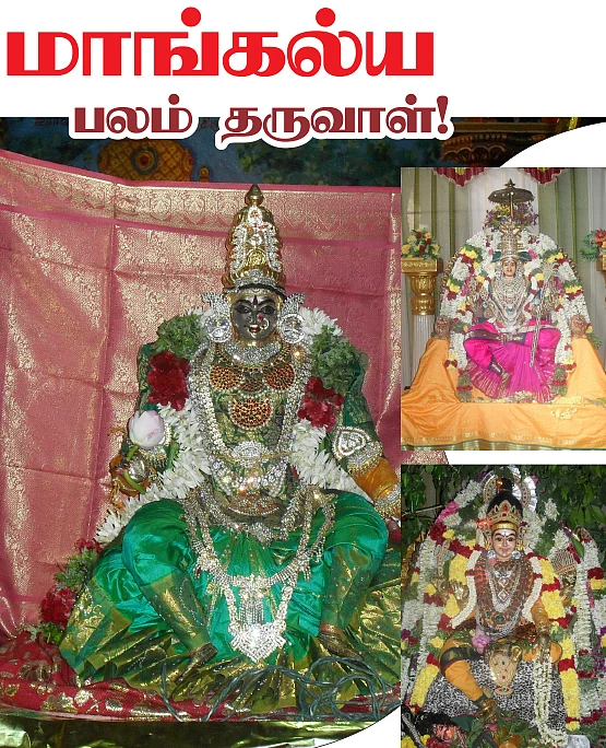 நலம் தரும் நவராத்திரி
