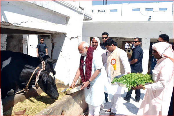 ஆடுகள் அத்வானி கோஷ்டியா? - கோழிகள் ஜோஷி கோஷ்டியா?
