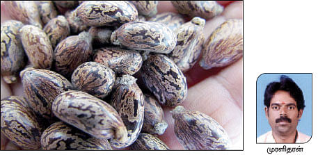 நீங்கள் கேட்டவை