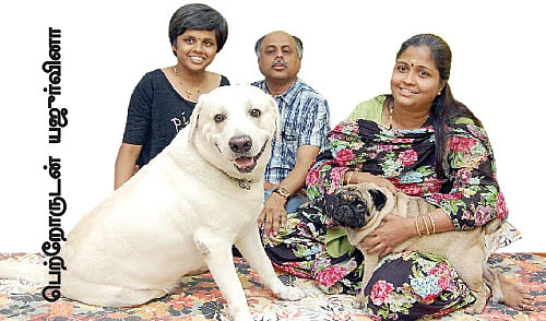 செல்லம் வளர்க்கலாம் உள்ளம் மகிழலாம் !