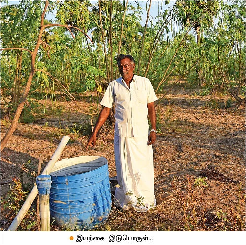 குஷியான வருமானம் கொடுக்கும் குருஷ் முருங்கை... ஆண்டுக்கு ரூ. 19,80,000 லாபம்!