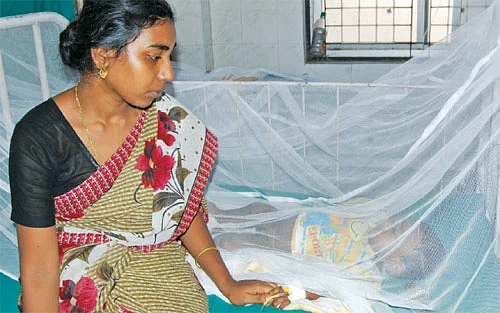 டெங்கு தடுக்க... தகர்க்க... தப்பிக்க 10 வழிகள்