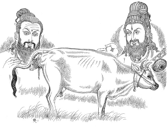 நாரதர் கதைகள்! - 19
