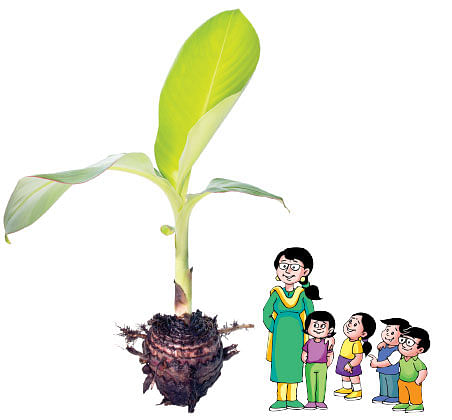 மாயா டீச்சரின் மந்திரக் கம்பளம்!