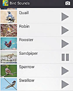 டாப் 10 ஆப்ஸ் 10