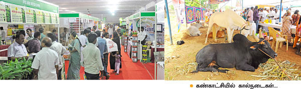 ‘இயற்கை விவசாயமே சிறந்தது!’