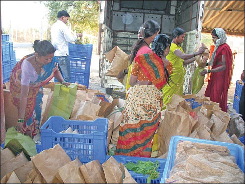 விளையும் விலையும்! - சந்தைக்கு வழிகாட்டும் தொடர் - 5