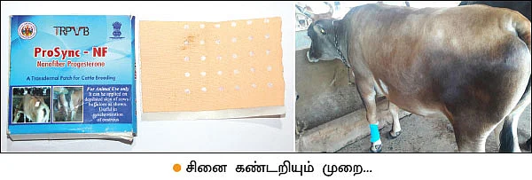 இனி, நாட்டு மாட்டுப் பாலை எளிதாக அறியலாம்..!