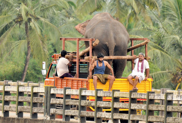 சக்சஸ் சீக்ரெட் சொல்லிக் கொடுத்தாங்க ரஜினி, கமல்!