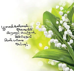 பூனைக் கண்ணன் கடத்திய அம்மன்