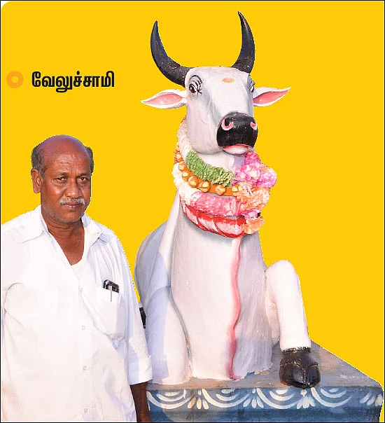 “சாமீ... யாரையும் உன் கொம்பால குத்திடாதே!”