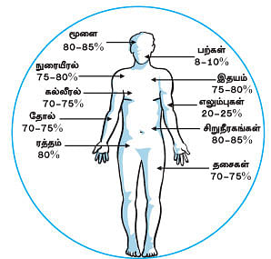 மாயா டீச்சரின் மந்திரக் கம்பளம் !
