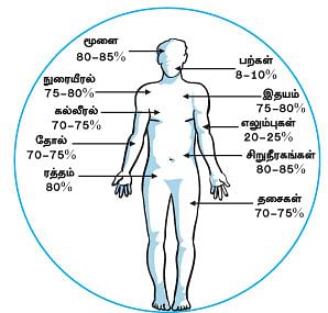 மாயா டீச்சரின் மந்திரக் கம்பளம் !