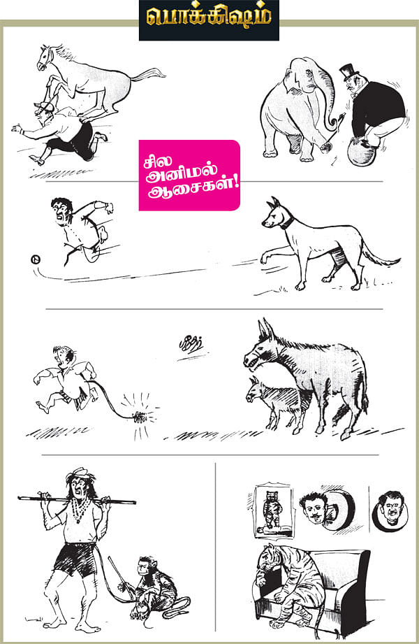 ஜோக்ஸ்