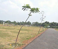 புறநகர் ரவுண்டு அப் அம்பத்தூர்- ஆவடி