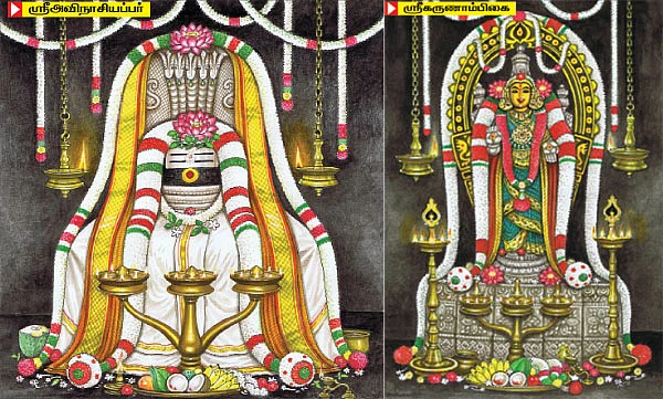 ஸ்ரீஅவிநாசியப்பரே போற்றி..!