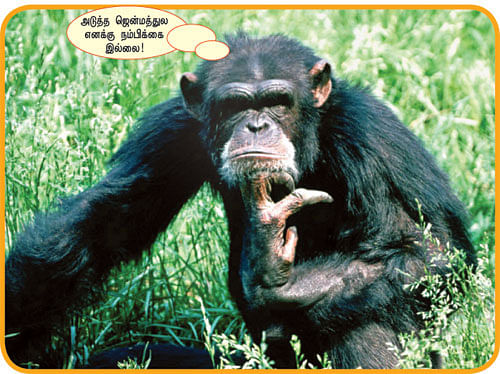 ஹாய் மதன் கேள்வி - பதில்