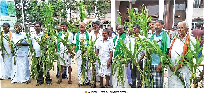 படைப்புழுத் தாக்குதல்... படையெடுத்த விவசாயிகள்!