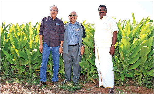 தாய்லாந்தில் ஈரோடு மஞ்சள்... கடல் கடந்து கற்றுக் கொடுக்கும் விவசாயி!