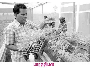 மழைக்கு மரியாதை... மரங்கள் நடுவோம்... மகசூலைப் பெறுவோம்!