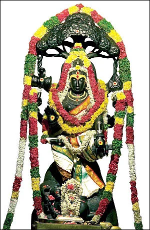 அள்ளக் குறையாத செல்வம் தரும் கல்லாலம்!