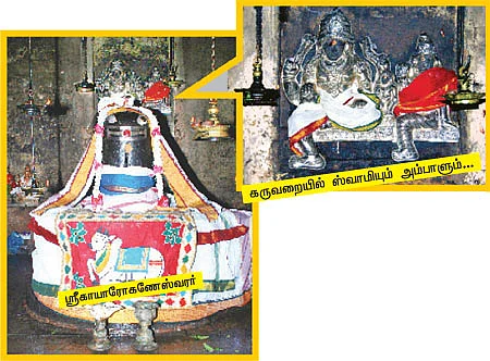 தேவாரத் திருவுலா!