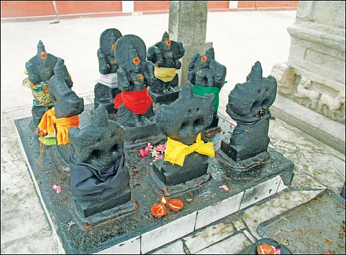 சுக்கிர யோகம் யாருக்கு?