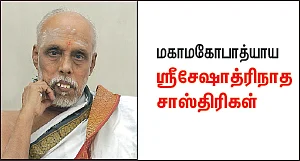 திருமண மந்திரங்கள் சொல்வதென்ன..?