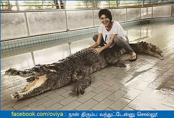 வலைபாயுதே