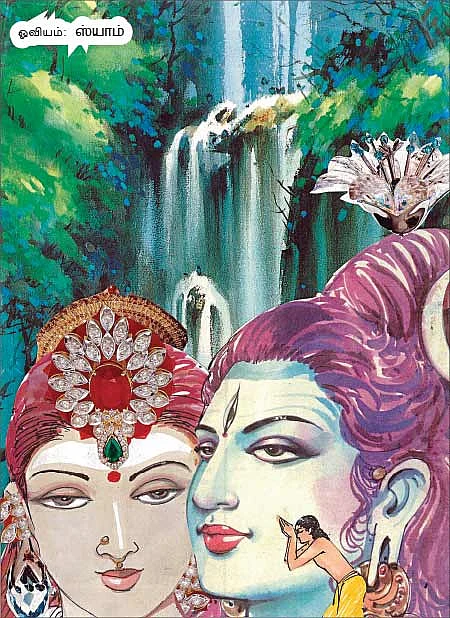 சித்தம்... சிவம்... சாகசம்! - 26