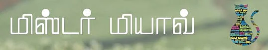 மிஸ்டர் மியாவ்