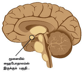 மாயா டீச்சரின் மந்திரக் கம்பளம் !