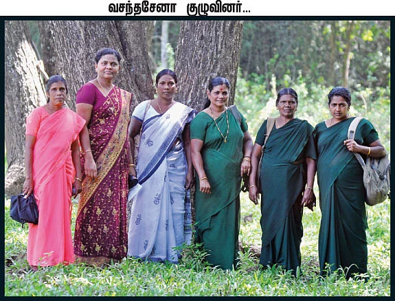 வன தேவதைகள்!