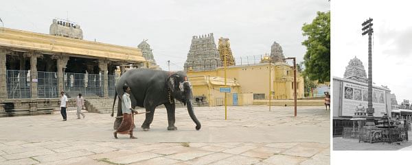 தாயே நீயே துணை!