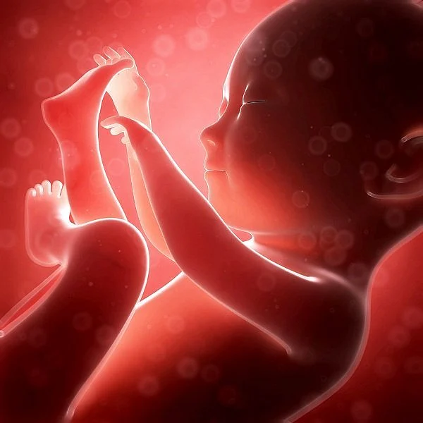 பிரசவம் (Representational Image)