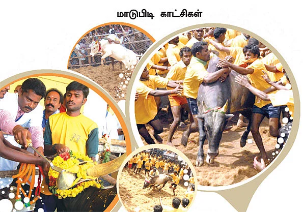 மூக்கை பிடிக்கிறதுக்கு முன்னாடி போட்டோ பிடி!