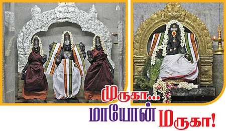 முருகா... மாயோன் மருகா!