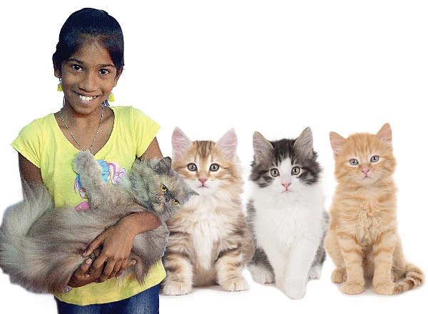 மியாவ் மியாவ் செல்லக்குட்டி