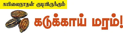ஆரோக்கியம் அருளும் ஆலய விருட்சங்கள்!