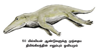 மாயா டீச்சரின் மந்திரக் கம்பளம்!