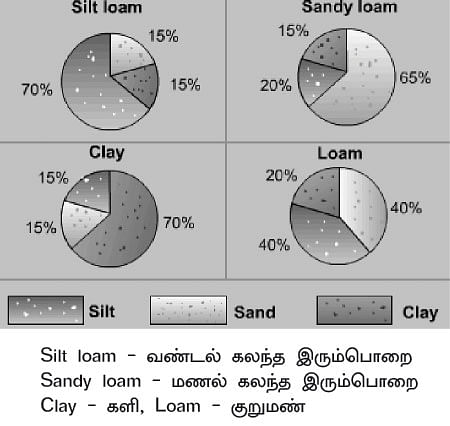 மண்ணுக்கு மரியாதை! - 08