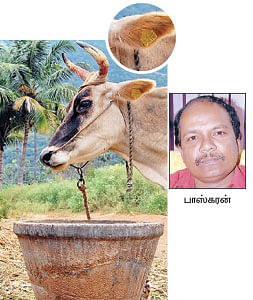 நீங்கள் கேட்டவை