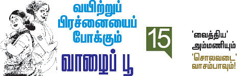 'வைத்திய' அம்மணியும் 'சொலவடை' வாசம்பாவும்!