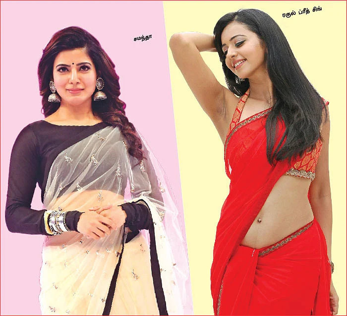 மிஸ்டர் மியாவ்