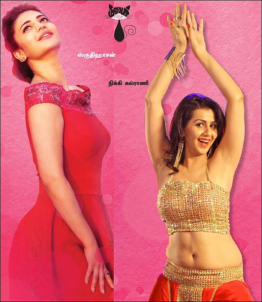 மிஸ்டர் மியாவ்