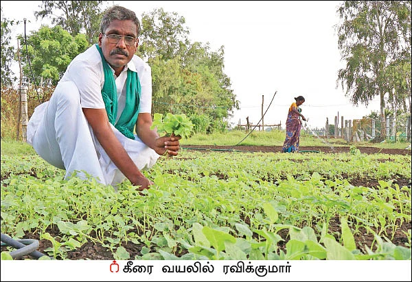 பத்து ஏக்கர் நிலத்தில் ஒரு பசுமைப் பண்ணை!