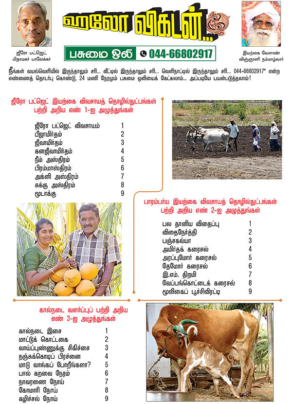 பசுமை ஒலி!
