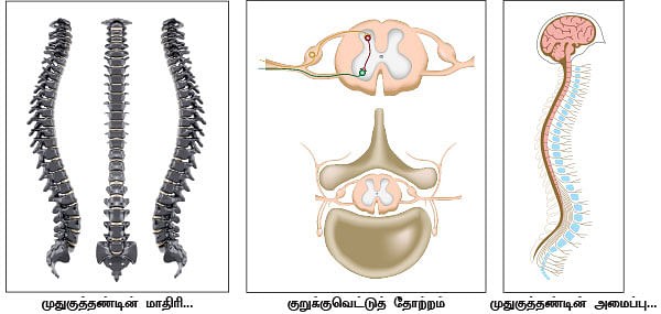 மாயா டீச்சரின் மந்திரக் கம்பளம்!