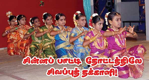 சின்னப் பாட்டிதோட்டத்திலே சிவப்புத் தக்காளி !