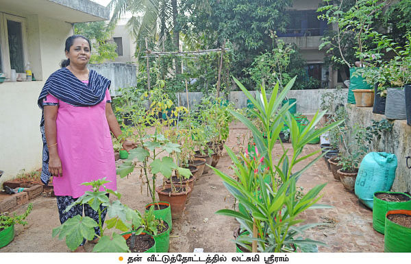 வீட்டுக்குள் விவசாயம் - 12